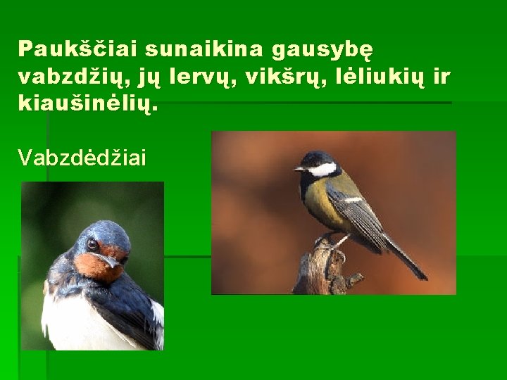 Paukščiai sunaikina gausybę vabzdžių, jų lervų, vikšrų, lėliukių ir kiaušinėlių. Vabzdėdžiai 