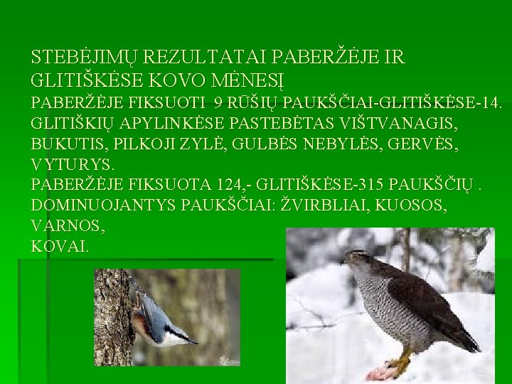 STEBĖJIMŲ REZULTATAI PABERŽĖJE IR GLITIŠKĖSE KOVO MĖNESĮ PABERŽĖJE FIKSUOTI 9 RŪŠIŲ PAUKŠČIAI-GLITIŠKĖSE-14. GLITIŠKIŲ APYLINKĖSE