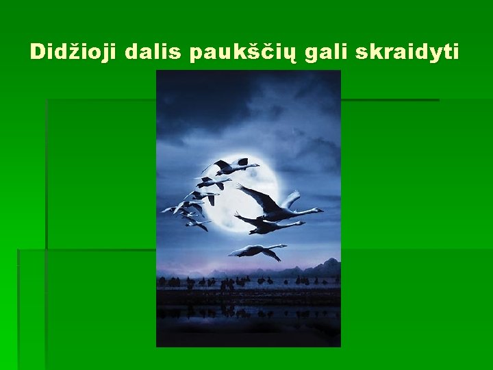 Didžioji dalis paukščių gali skraidyti 