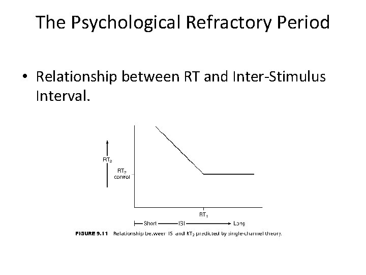 The Psychological Refractory Period • Relationship between RT and Inter-Stimulus Interval. 