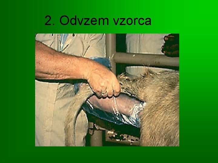 2. Odvzem vzorca 