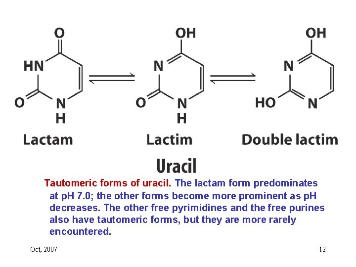 Tautomeric forms of uracil. The lactam form predominates at p. H 7. 0; the