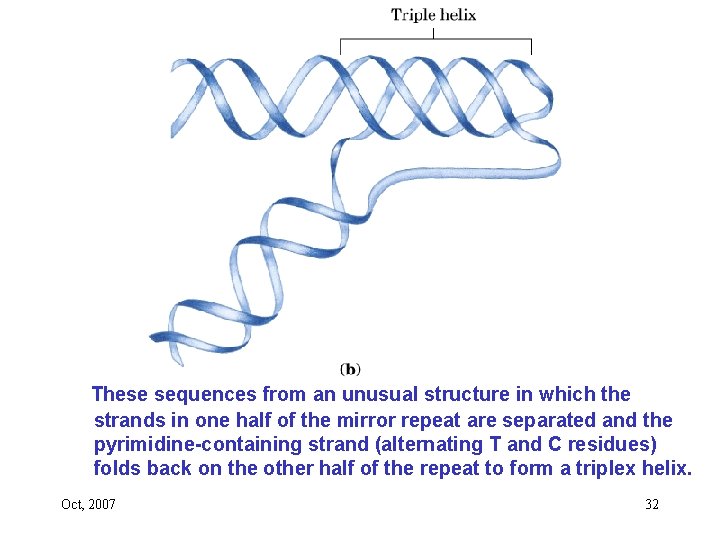 These sequences from an unusual structure in which the strands in one half of