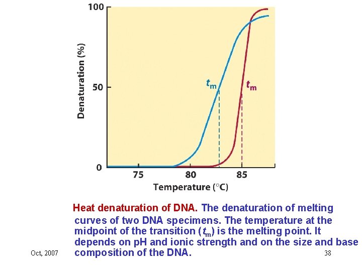 Oct, 2007 Heat denaturation of DNA. The denaturation of melting curves of two DNA