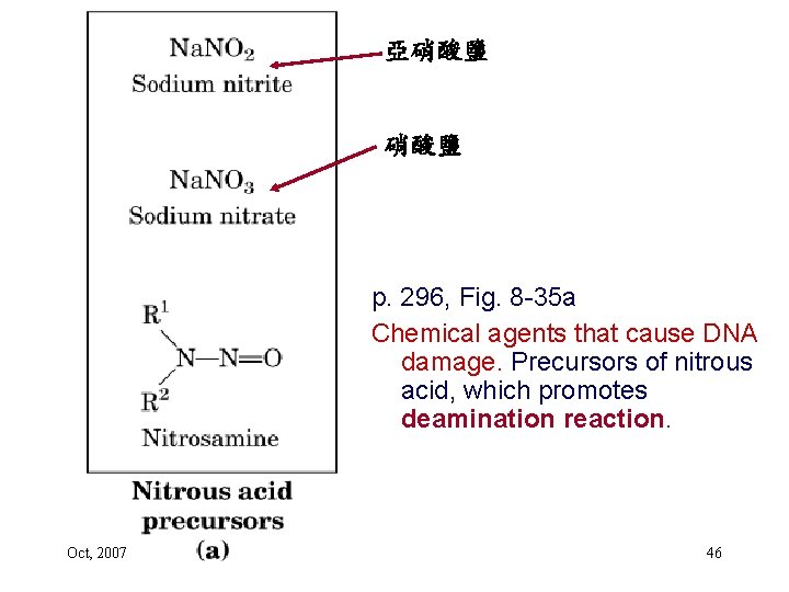 亞硝酸鹽 p. 296, Fig. 8 -35 a Chemical agents that cause DNA damage. Precursors