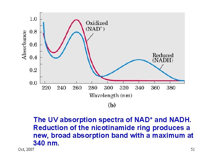 The UV absorption spectra of NAD+ and NADH. Reduction of the nicotinamide ring produces