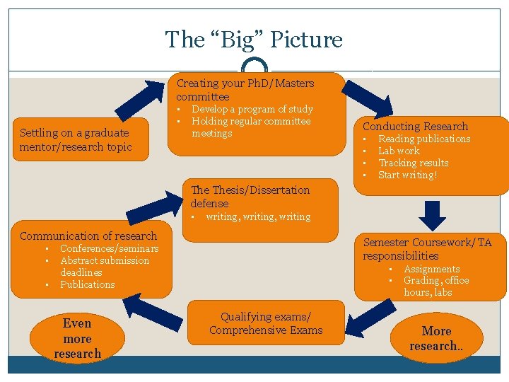 The “Big” Picture Creating your Ph. D/Masters committee Settling on a graduate mentor/research topic