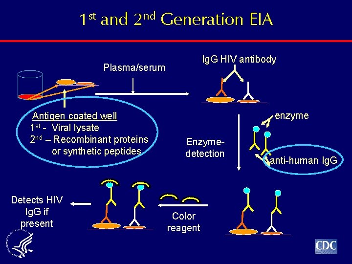 1 st and 2 nd Generation EIA Plasma/serum (1 h/37 o C) Ig. G