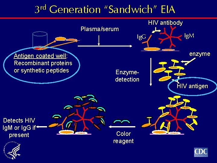 3 rd Generation “Sandwich” EIA HIV antibody Plasma/serum Ig. G Antigen coated well: Recombinant