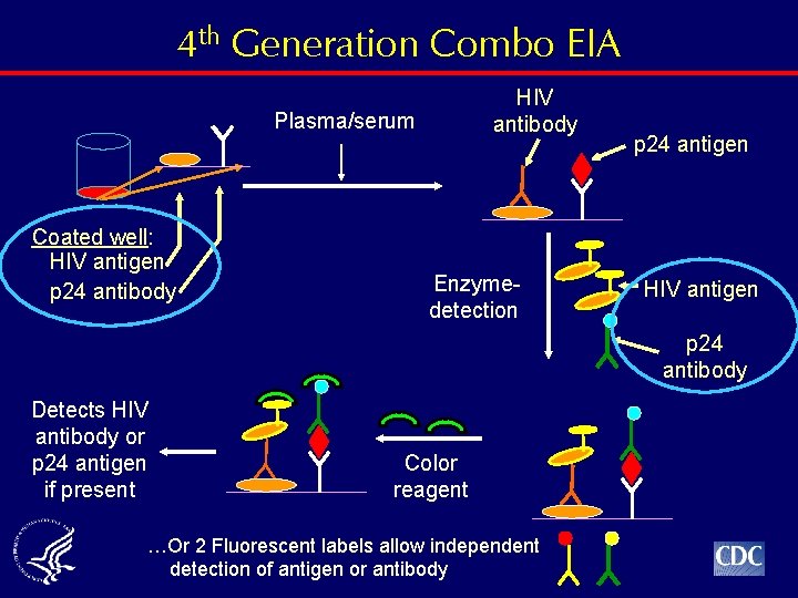 4 th Generation Combo EIA HIV antibody Plasma/serum Coated well: HIV antigen p 24