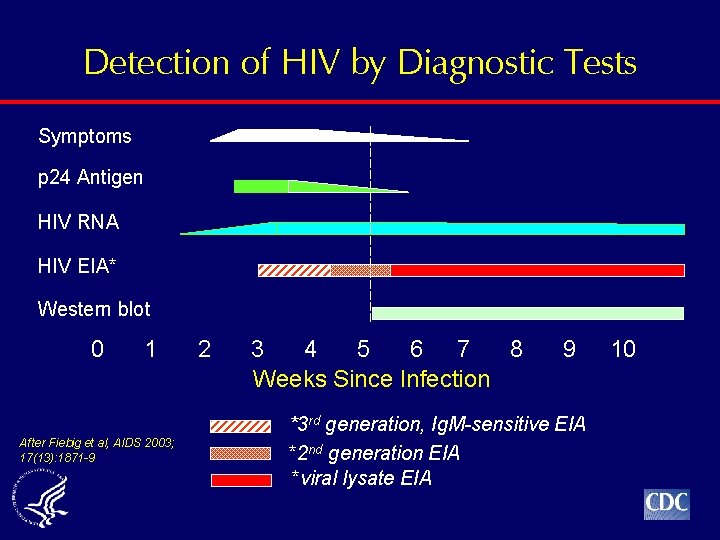 Detection of HIV by Diagnostic Tests Symptoms p 24 Antigen HIV RNA HIV EIA*