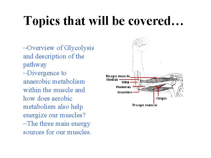 Topics that will be covered… ~Overview of Glycolysis and description of the pathway ~Divergence