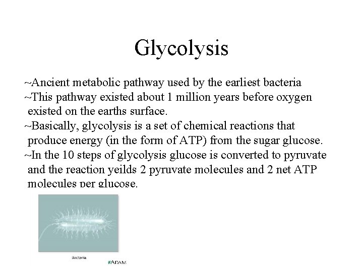 Glycolysis ~Ancient metabolic pathway used by the earliest bacteria ~This pathway existed about 1