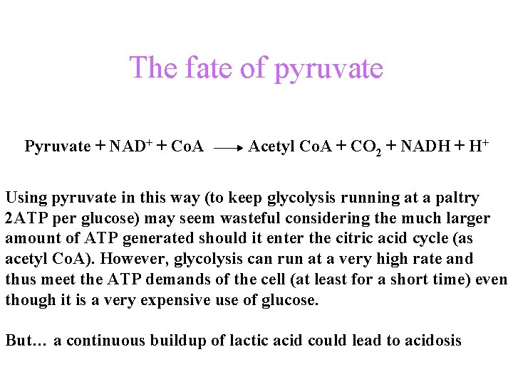 The fate of pyruvate Pyruvate + NAD+ + Co. A Acetyl Co. A +