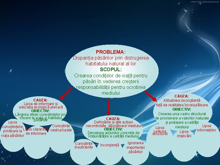 PROBLEMA: Dispariția păsărilor prin distrugerea habitatului natural al lor SCOPUL: Crearea condițiilor de viață PROBLEMA: Dispariția păsărilor prin distrugerea habitatului natural al lor SCOPUL: Crearea condițiilor de viață