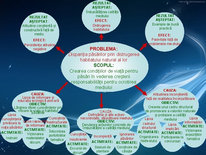 REZULTAT AȘTEPTAT: Atitudine conștientă și constructivă față de mediu EFECT: Persistența atitudinii negative REZULTAT