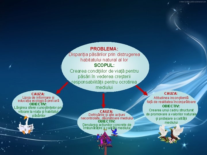 PROBLEMA: Dispariția păsărilor prin distrugerea habitatului natural al lor SCOPUL: Crearea condițiilor de viață PROBLEMA: Dispariția păsărilor prin distrugerea habitatului natural al lor SCOPUL: Crearea condițiilor de viață