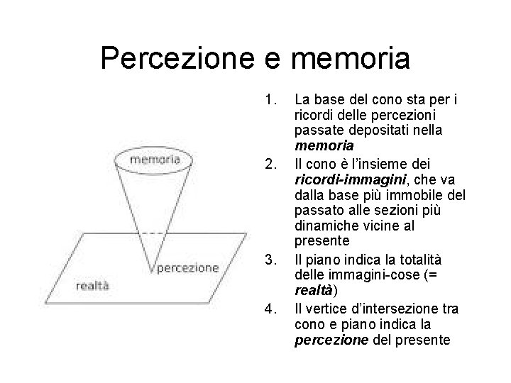 Percezione e memoria 1. 2. 3. 4. La base del cono sta per i