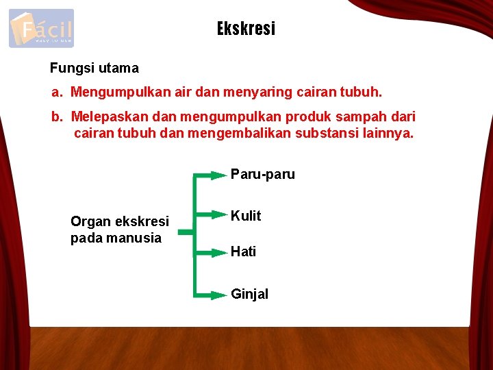 Ekskresi Fungsi utama a. Mengumpulkan air dan menyaring cairan tubuh. b. Melepaskan dan mengumpulkan