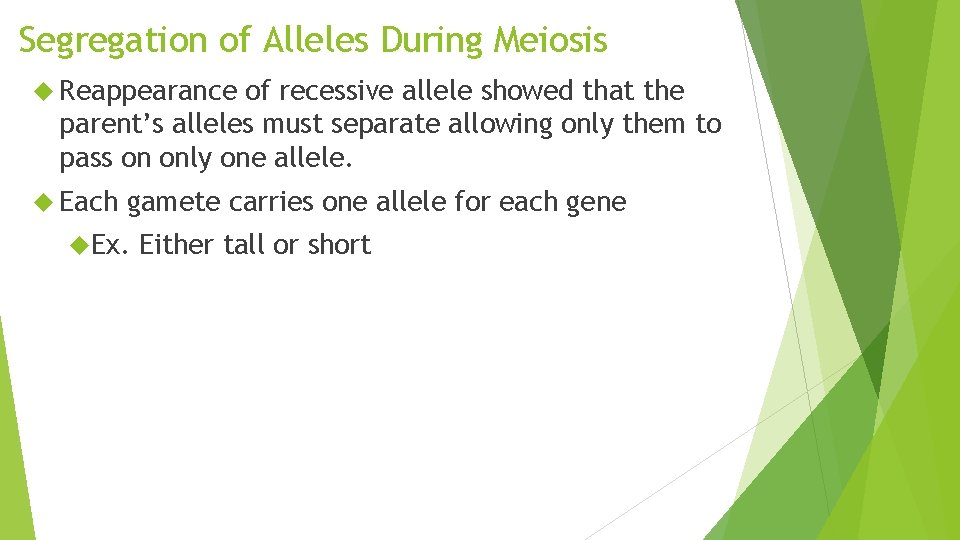 Segregation of Alleles During Meiosis Reappearance of recessive allele showed that the parent’s alleles