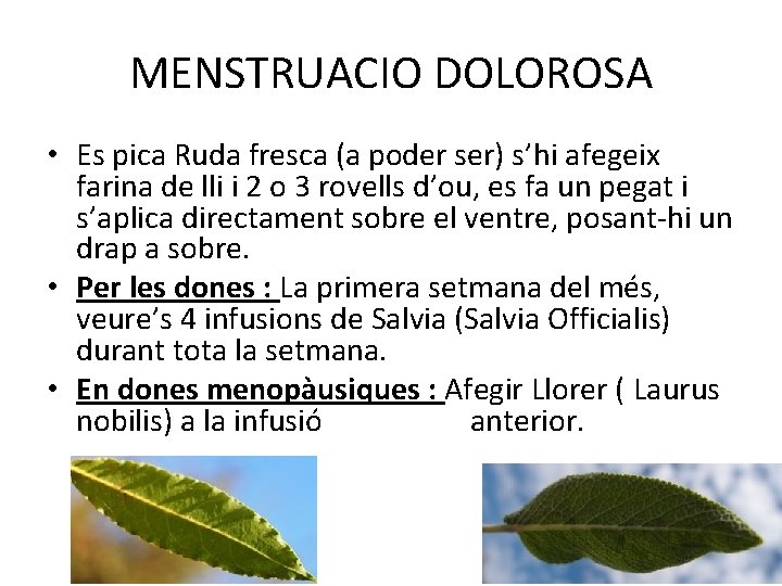 MENSTRUACIO DOLOROSA • Es pica Ruda fresca (a poder ser) s’hi afegeix farina de