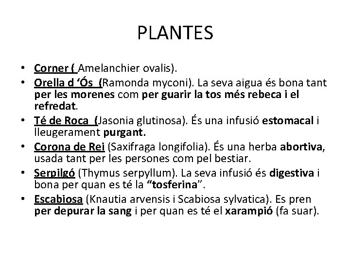 PLANTES • Corner ( Amelanchier ovalis). • Orella d ‘Ós (Ramonda myconi). La seva