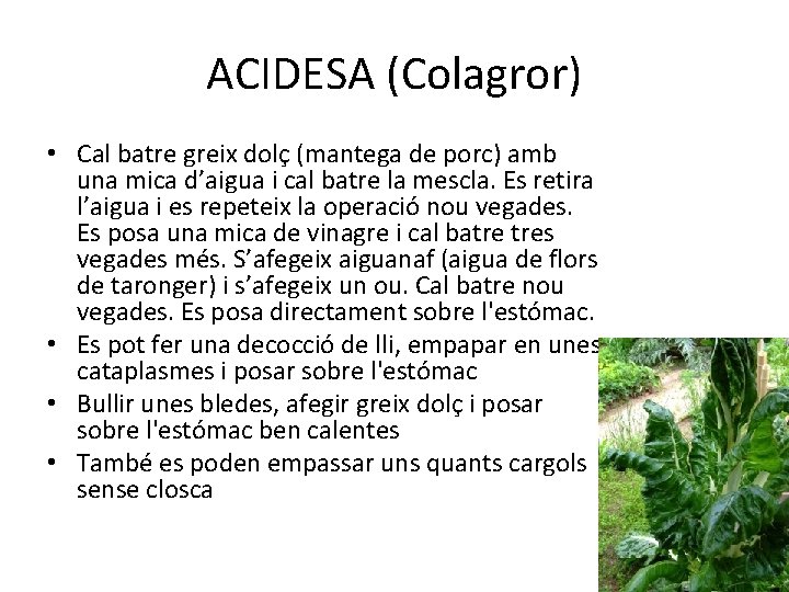 ACIDESA (Colagror) • Cal batre greix dolç (mantega de porc) amb una mica d’aigua