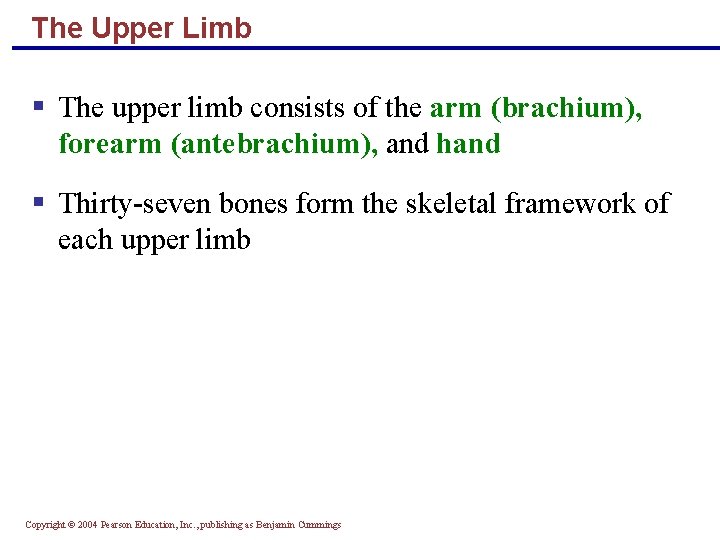 The Upper Limb § The upper limb consists of the arm (brachium), forearm (antebrachium),