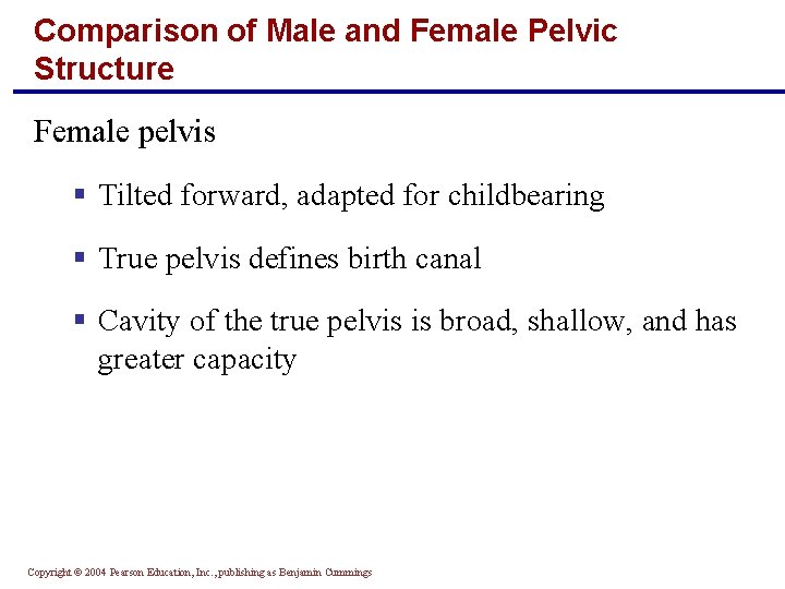 Comparison of Male and Female Pelvic Structure Female pelvis § Tilted forward, adapted for