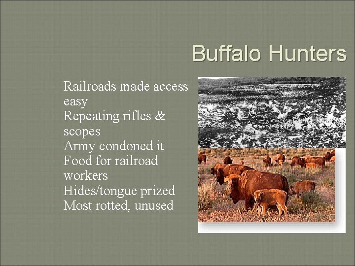 Buffalo Hunters Railroads made access easy Repeating rifles & scopes Army condoned it Food