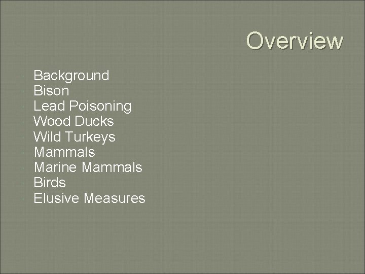 Overview Background Bison Lead Poisoning Wood Ducks Wild Turkeys Mammals Marine Mammals Birds Elusive