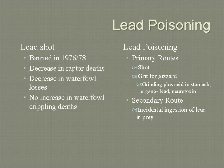 Lead Poisoning Lead shot • Banned in 1976/78 • Decrease in raptor deaths •