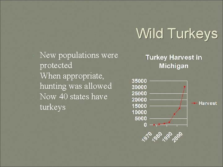 Wild Turkeys New populations were protected When appropriate, hunting was allowed Now 40 states
