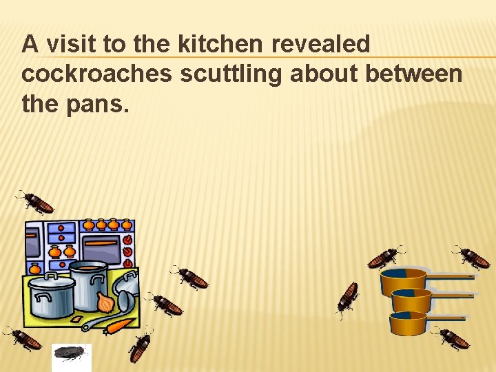 A visit to the kitchen revealed cockroaches scuttling about between the pans. 