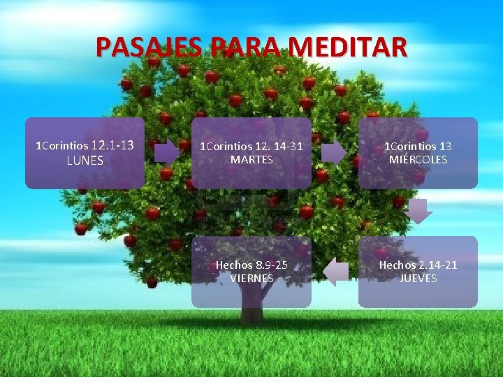 PASAJES PARA MEDITAR 1 Corintios 12. 1 -13 LUNES 1 Corintios 12. 14 -31