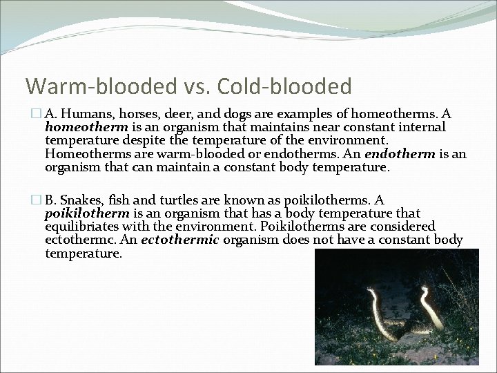 Warm-blooded vs. Cold-blooded � A. Humans, horses, deer, and dogs are examples of homeotherms.