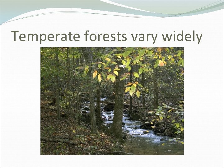 Temperate forests vary widely Temperate forests vary widely