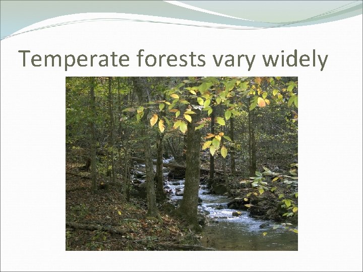 Temperate forests vary widely 