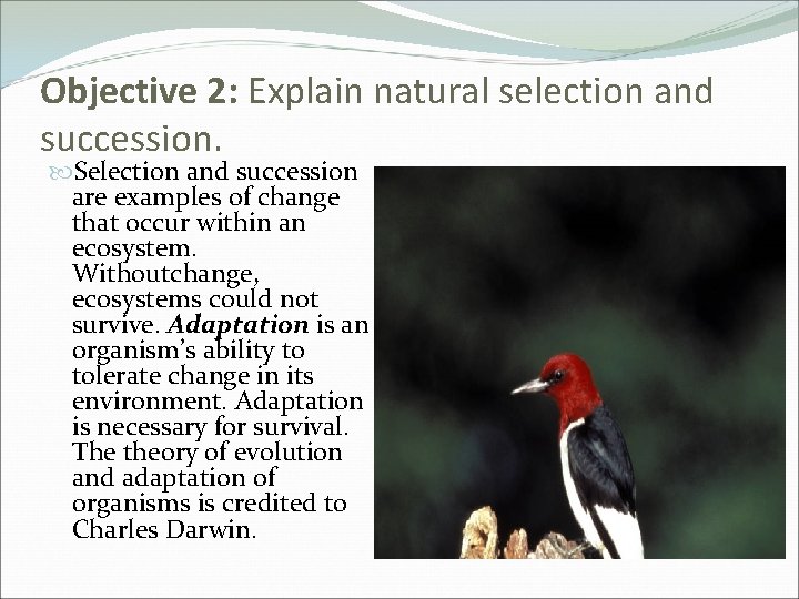Objective 2: Explain natural selection and succession. Selection and succession are examples of change Objective 2: Explain natural selection and succession. Selection and succession are examples of change