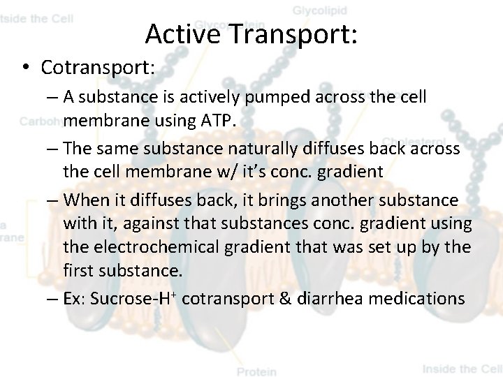 Active Transport: • Cotransport: – A substance is actively pumped across the cell membrane
