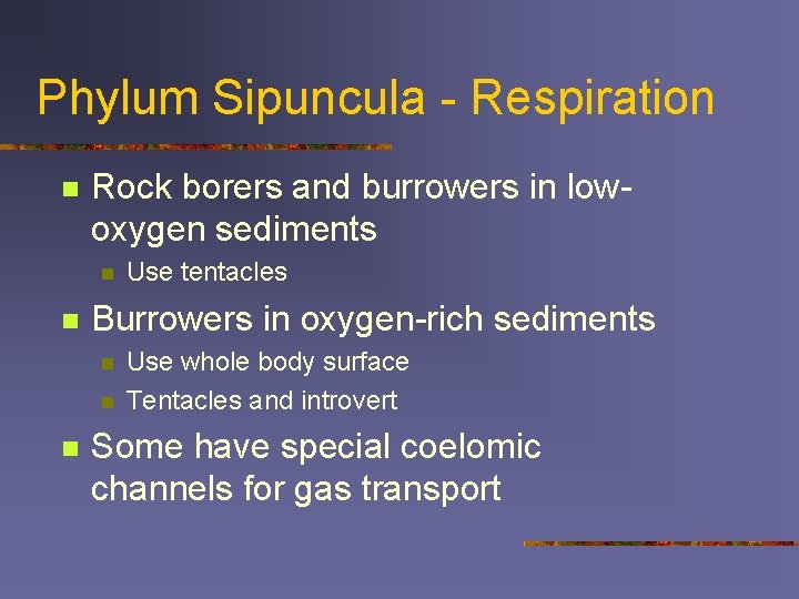 Phylum Sipuncula - Respiration n Rock borers and burrowers in lowoxygen sediments n n