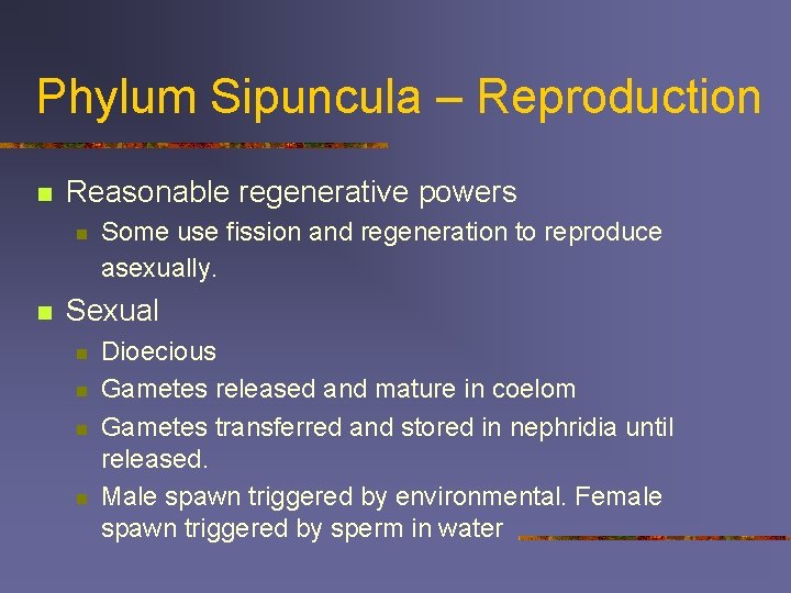 Phylum Sipuncula – Reproduction n Reasonable regenerative powers n n Some use fission and
