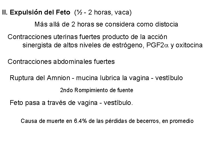 II. Expulsión del Feto (½ - 2 horas, vaca) Más allá de 2 horas