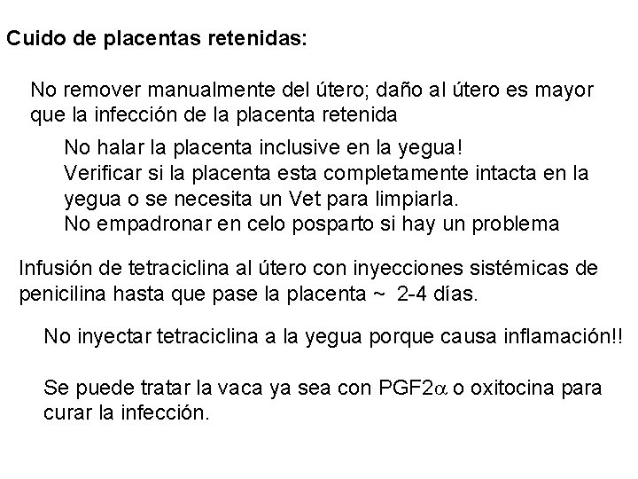 Cuido de placentas retenidas: No remover manualmente del útero; daño al útero es mayor