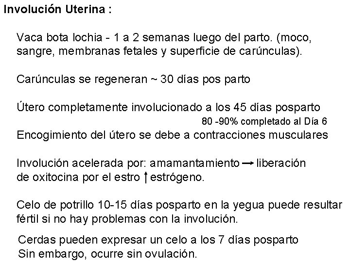 Involución Uterina : Vaca bota lochia - 1 a 2 semanas luego del parto.
