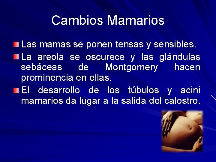 Cambios Mamarios Las mamas se ponen tensas y sensibles. La areola se oscurece y