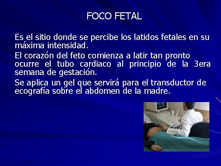 FOCO FETAL Es el sitio donde se percibe los latidos fetales en su máxima