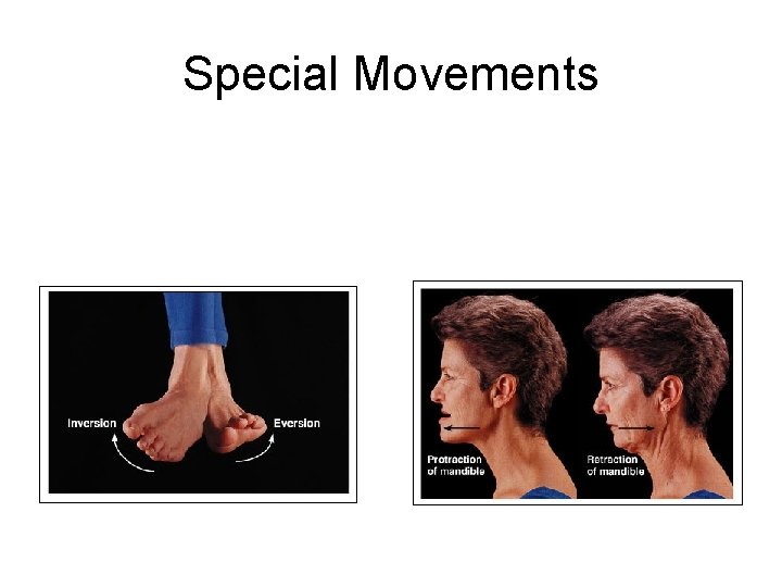 Special Movements 