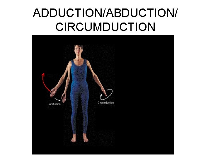 ADDUCTION/ABDUCTION/ CIRCUMDUCTION 