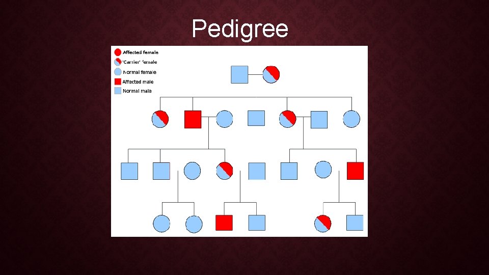 Pedigree 